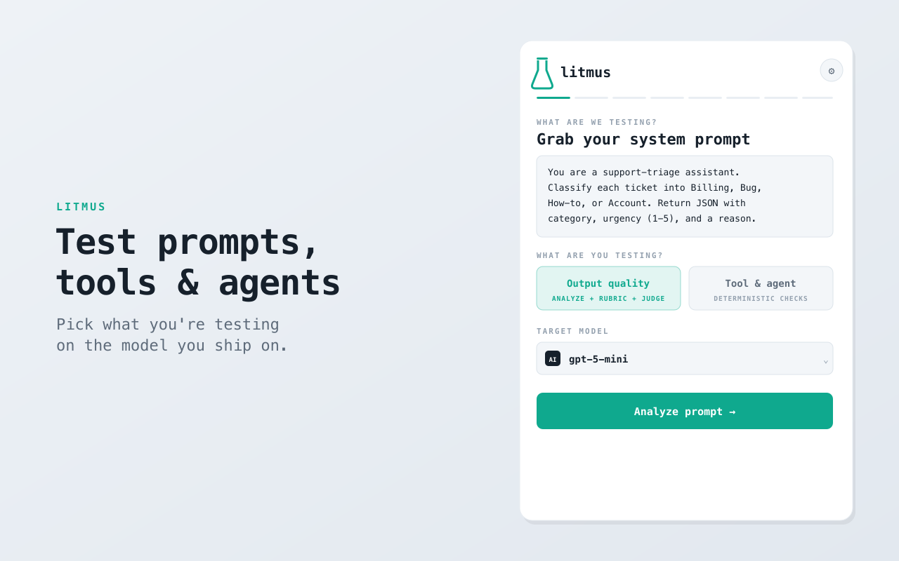 litmus capture screen — paste a system prompt and choose what you're testing